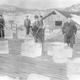 Norwegian ice cutters handle blocks of ice harvested from frozen lakes, circa 1900.